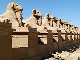 Karnak Temple Amon Allee Sphinx Belier 0090
